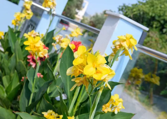 Ninemia * Limenas (Thasos)